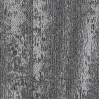 50x50