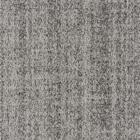 50x50