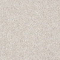 50x50