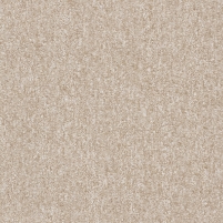 50x50