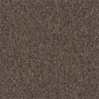 50x50