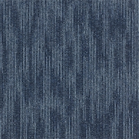 50x50